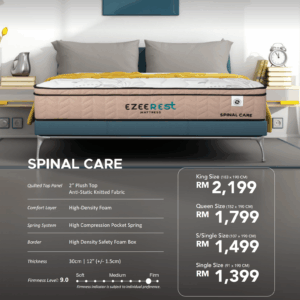 Ezeerest Spinal Care